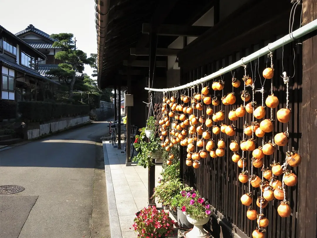 Sabae City Hall