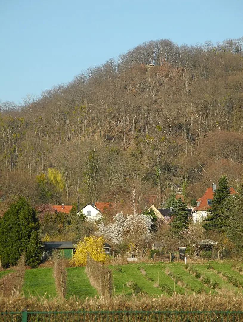 Zuckerhut