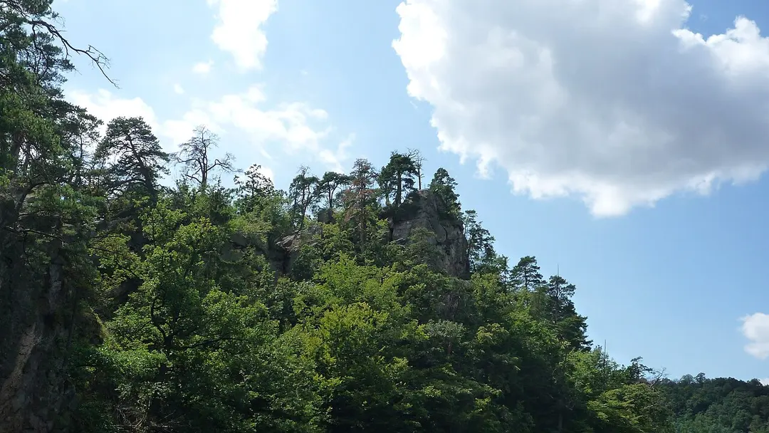 Kozlov (hrad, okres Třebíč)