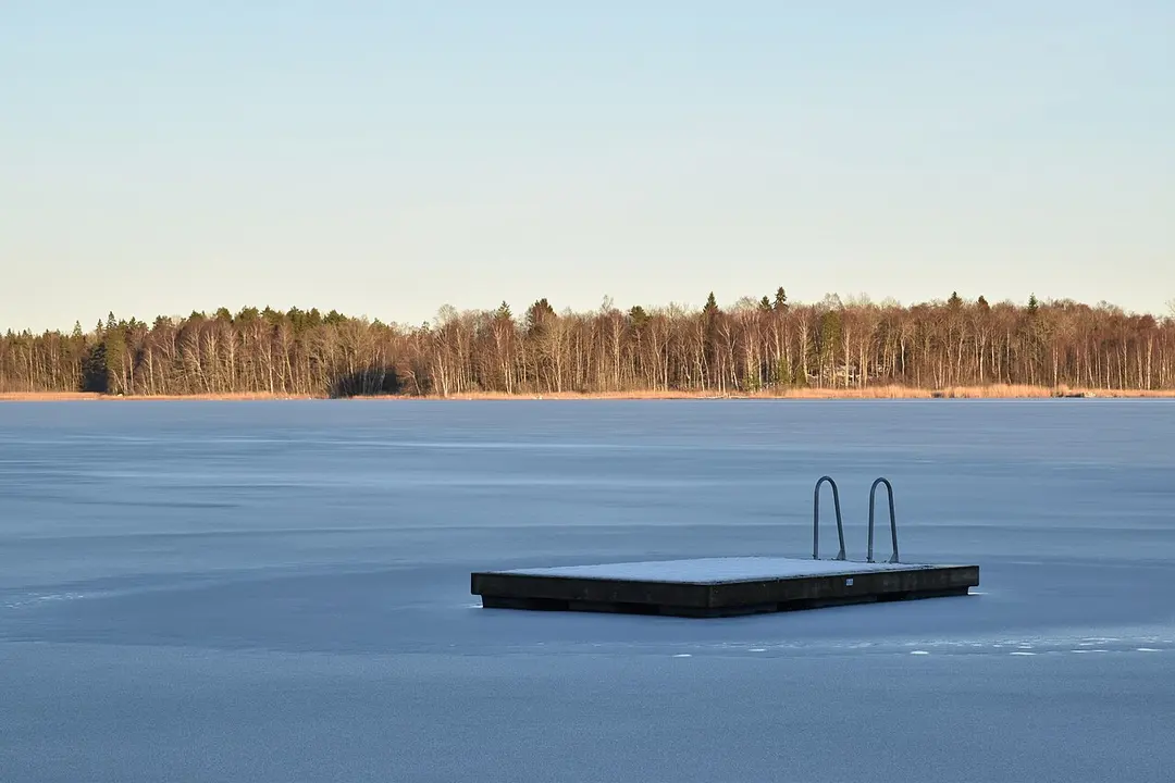 Svanhusskogens naturreservat