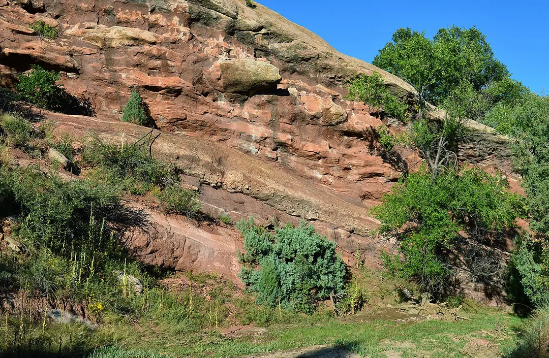 LoDaisKa site