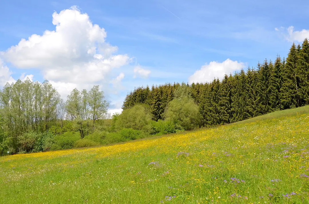 Tiefer Weg