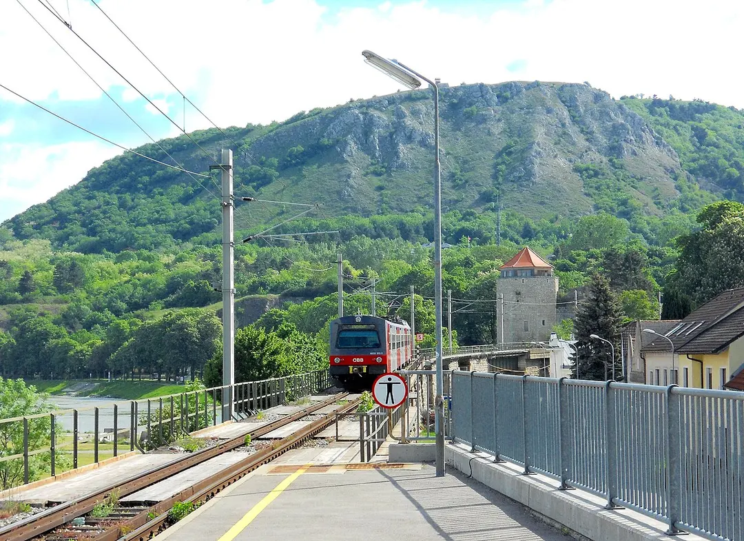 Braunsberg