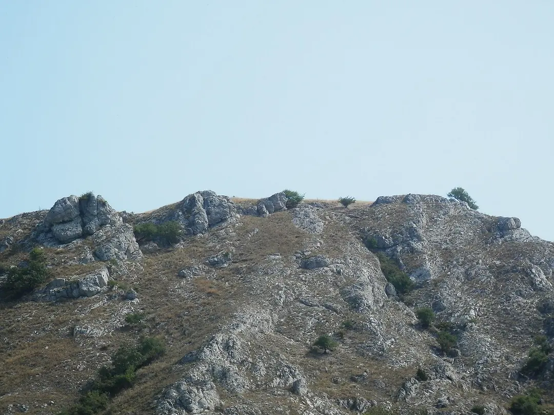 Braunsberg