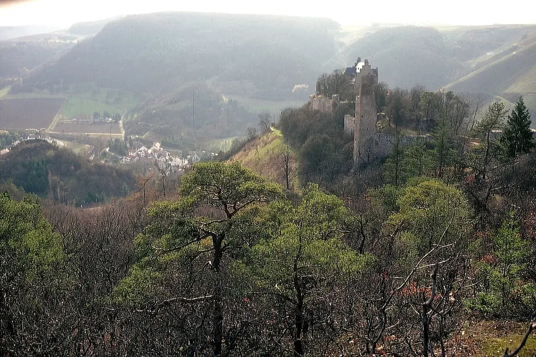 Burg Treuenfels