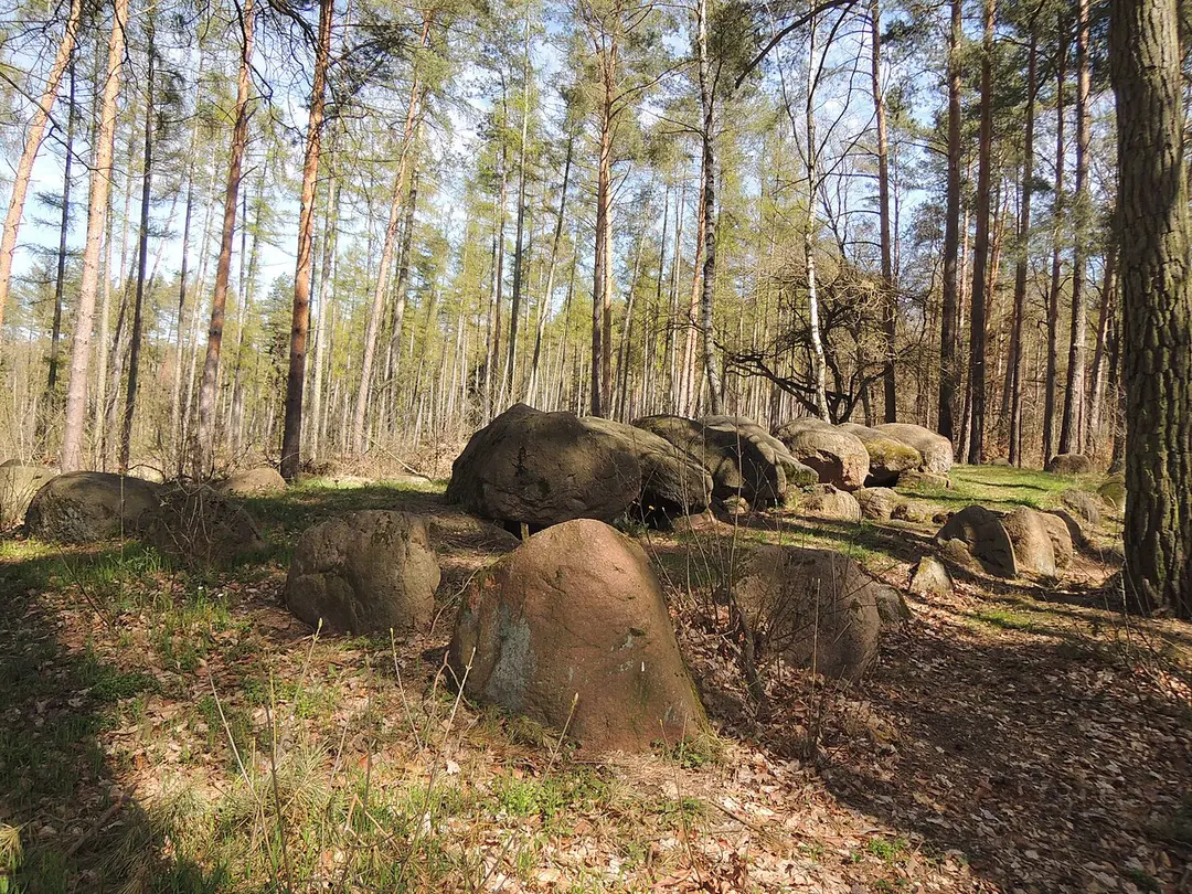 Großsteingrab Küchentannen