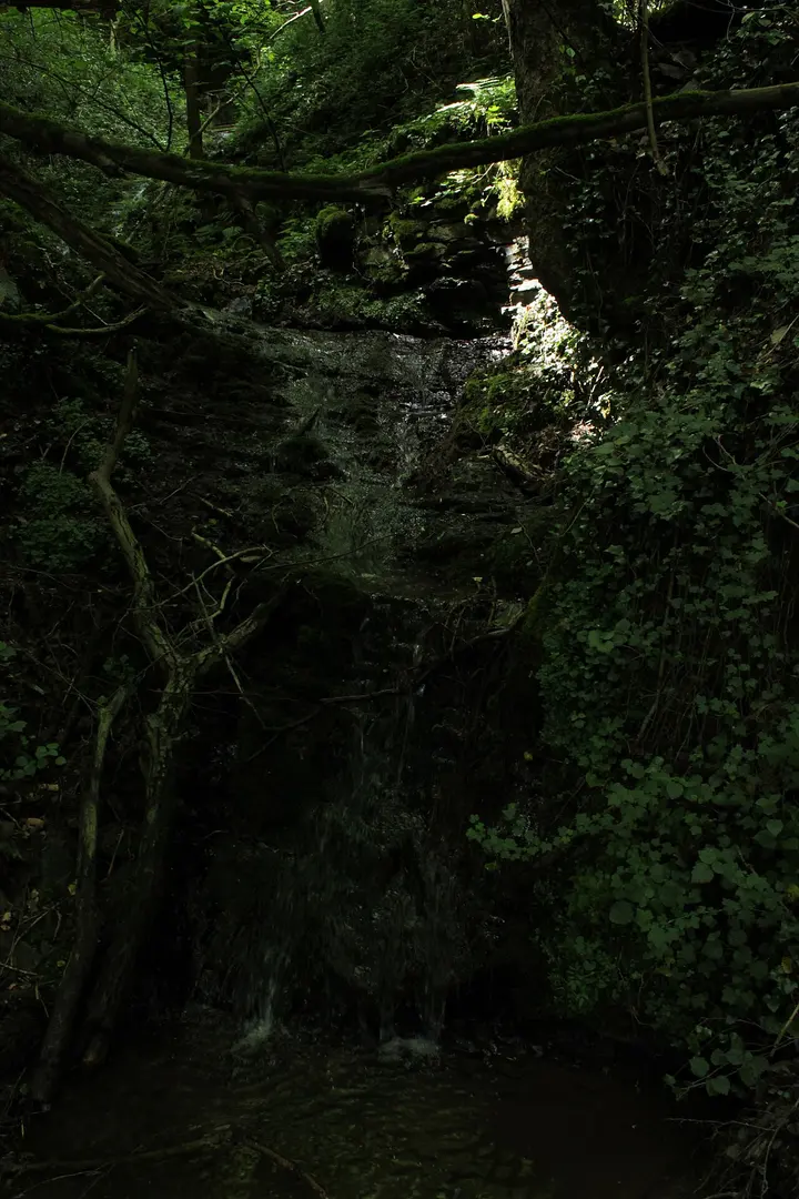 Dortebachtal