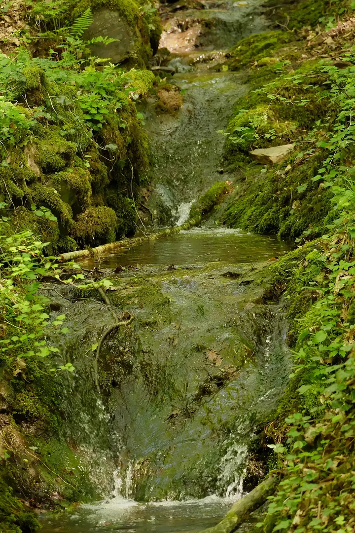 Dortebachtal