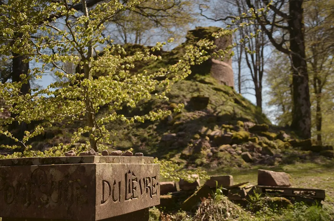 Burg Salm