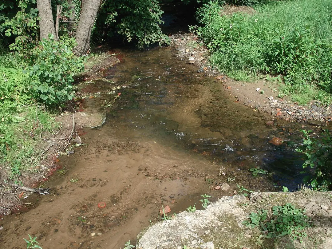Erlenbach