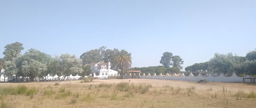 Palacio de Las Marismillas