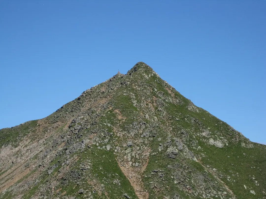 Großer Kornigl