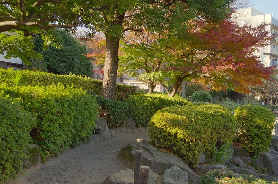新井薬師公園