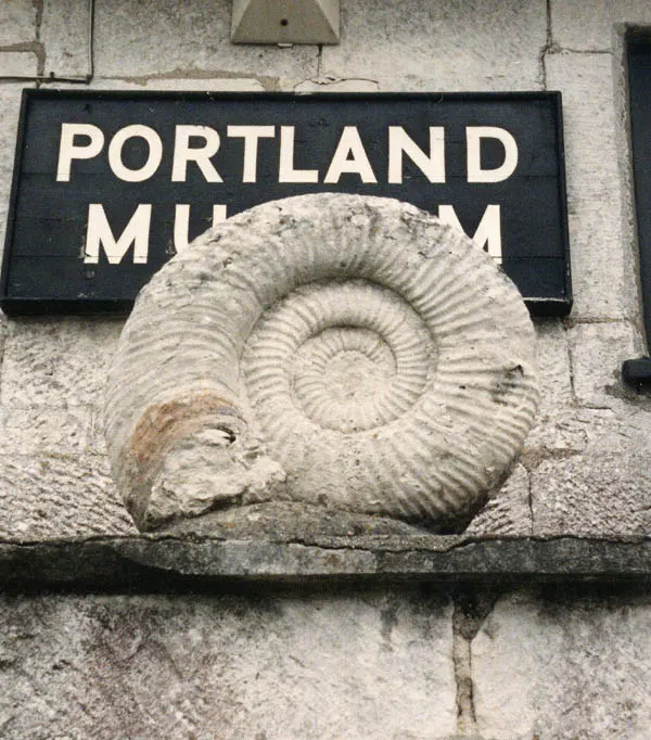Portland Museum