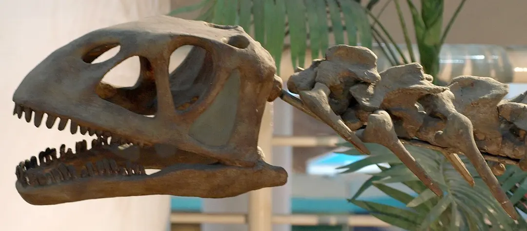 Chinesisches Paläozoologisches Museum