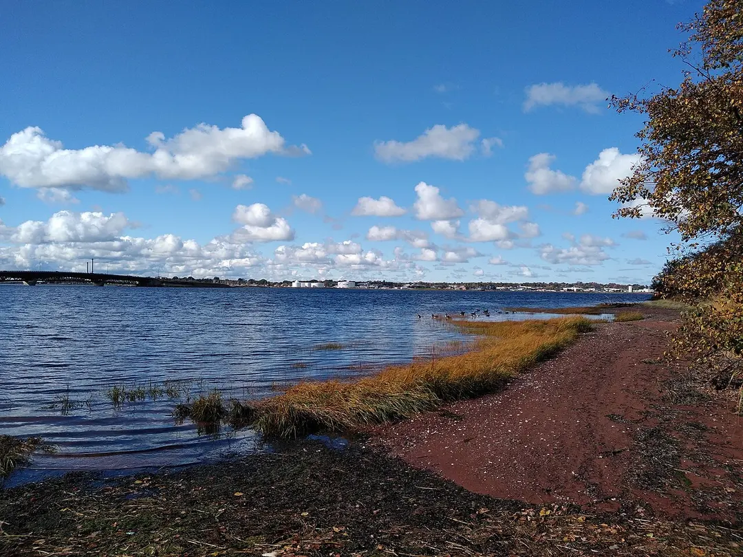 Hillsborough River