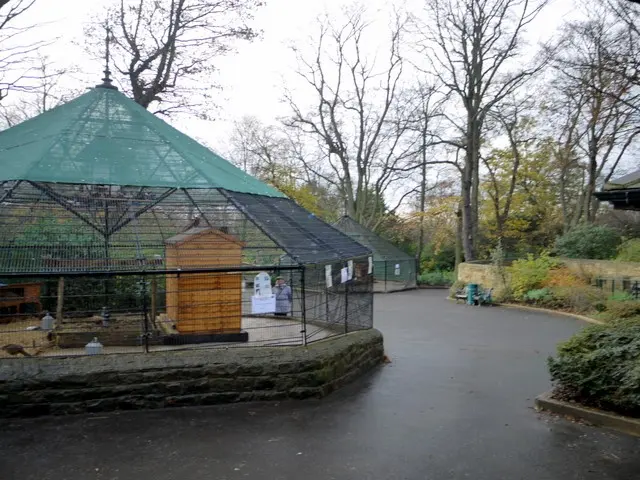 Saltwell Park