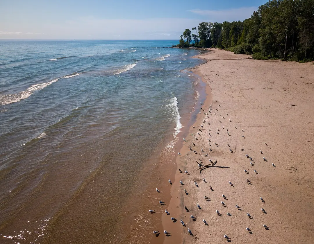 Harrington Beach State Park