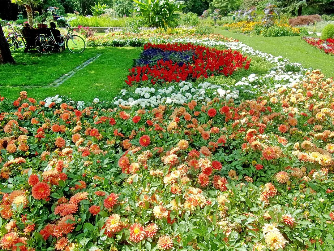 Botanischer Sondergarten