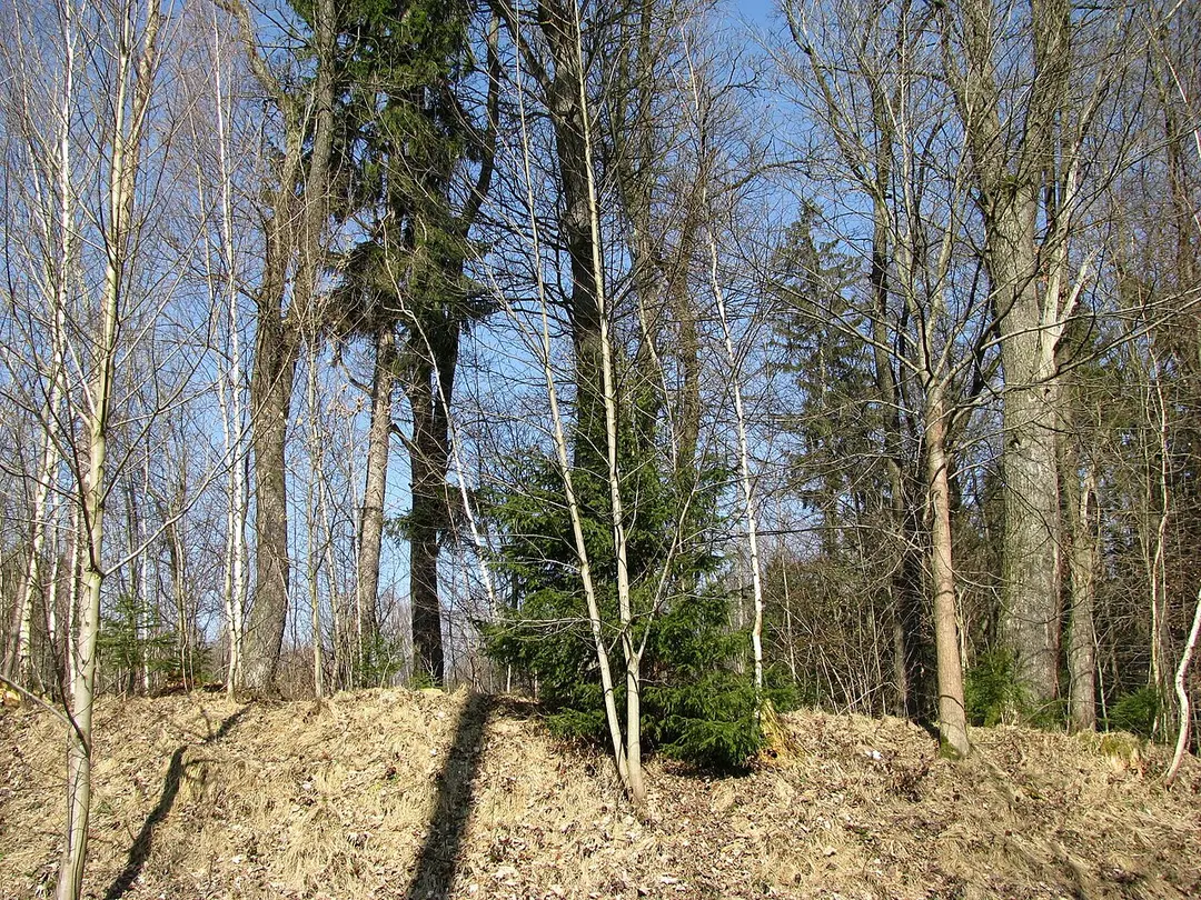 Burgstall Aubing