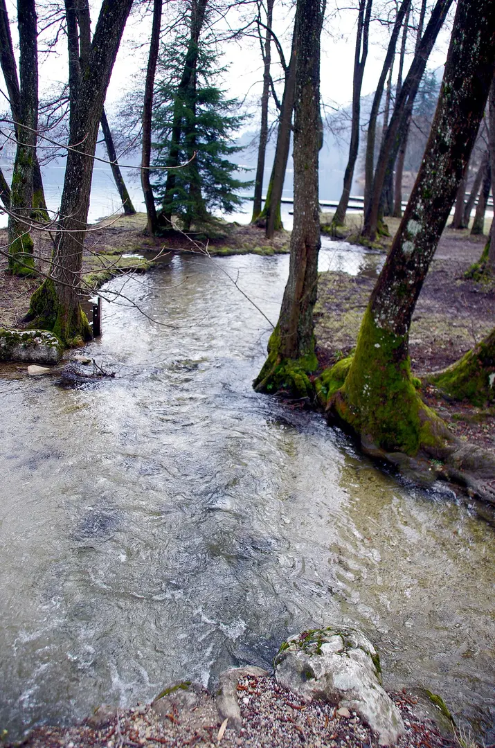 Bleder See
