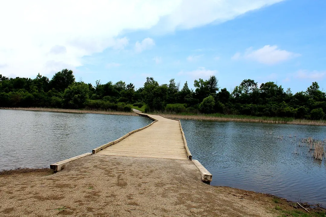 Lillie Park