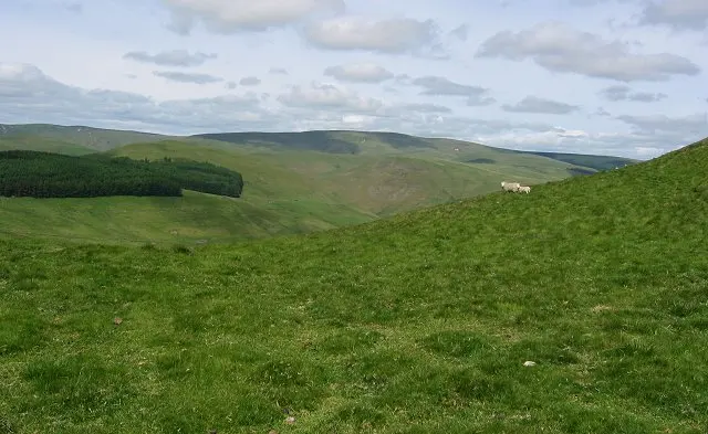 Shillhope Law