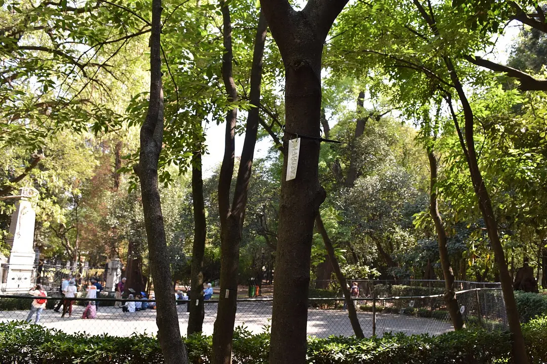 Petrograbados del Cerro de Chapultepec