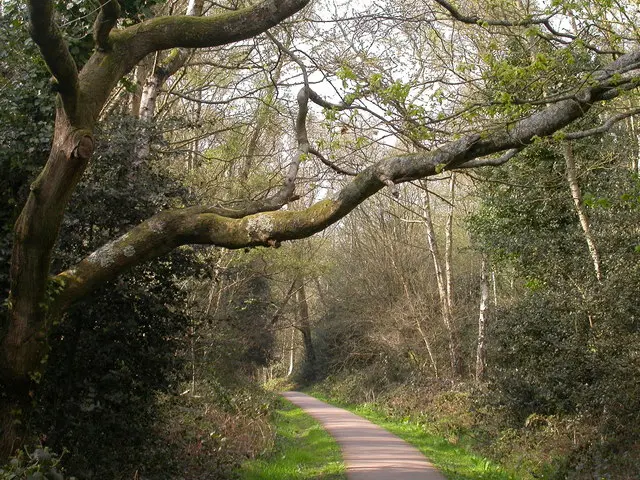 Southampton Common