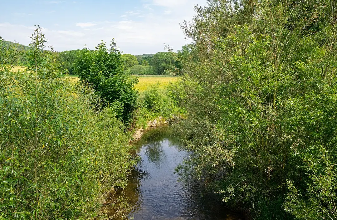 Aa