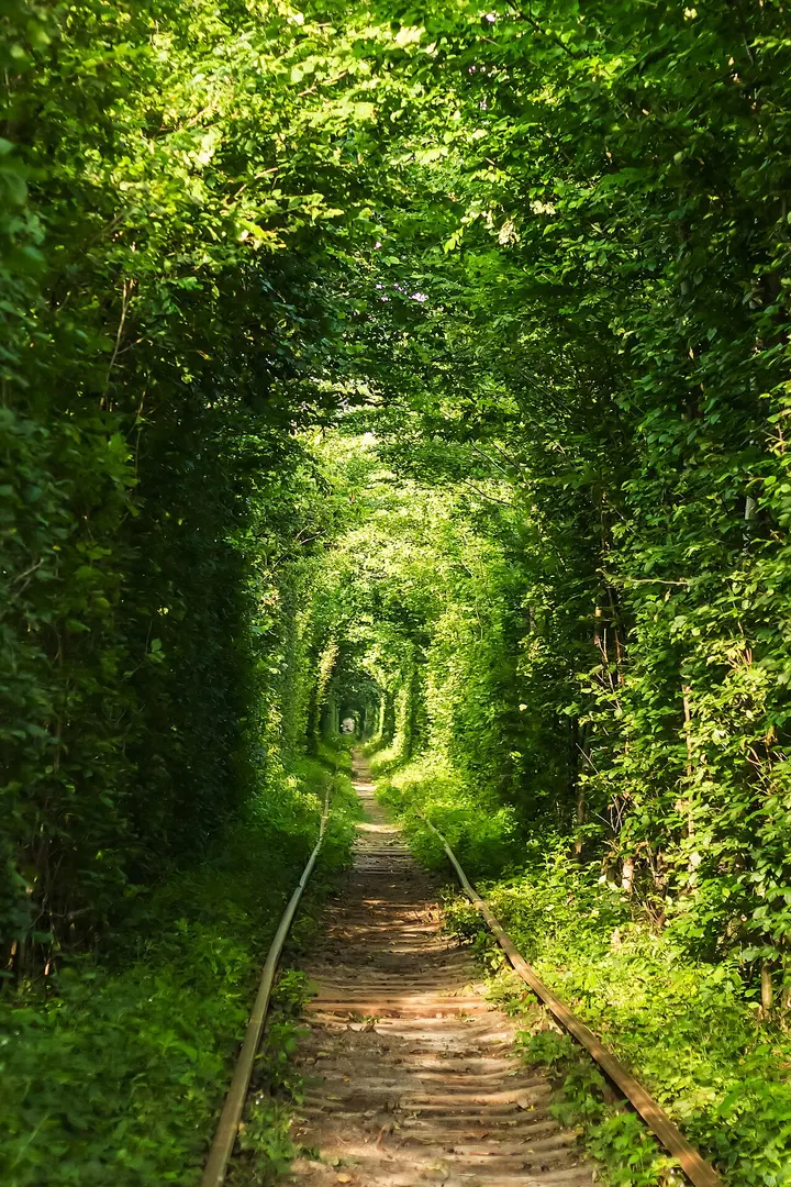 Tunnel of Love