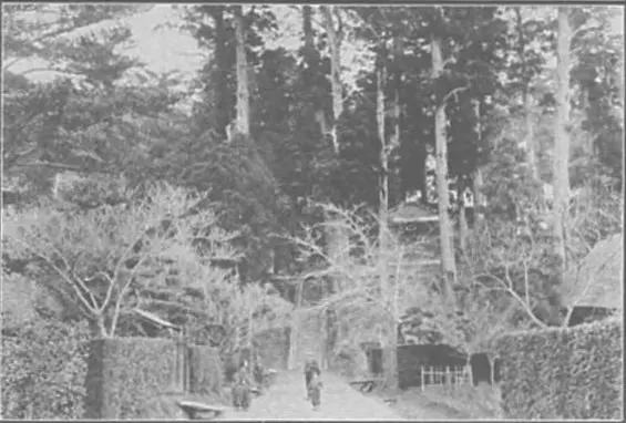 最福寺