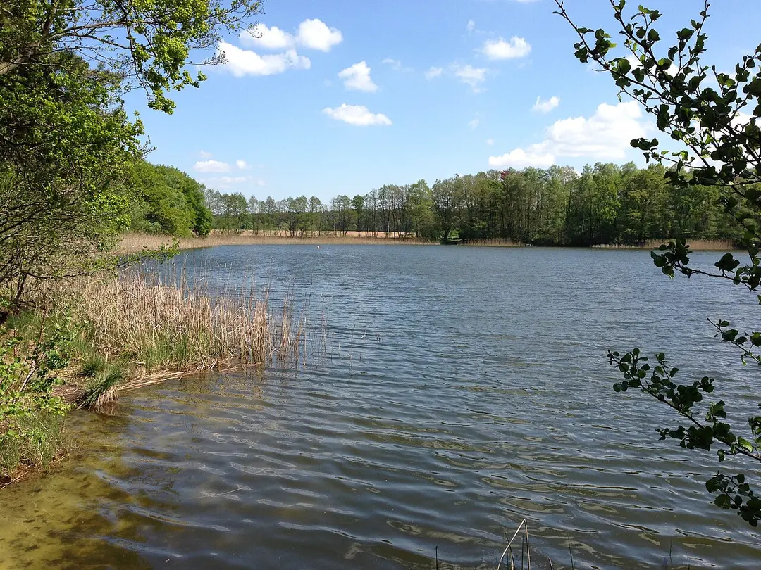 Langer See