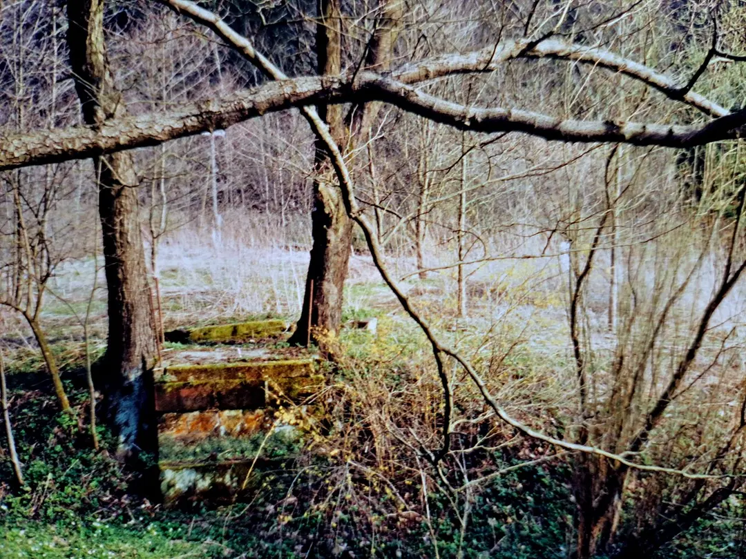 Goßdorf-Kohlmühle