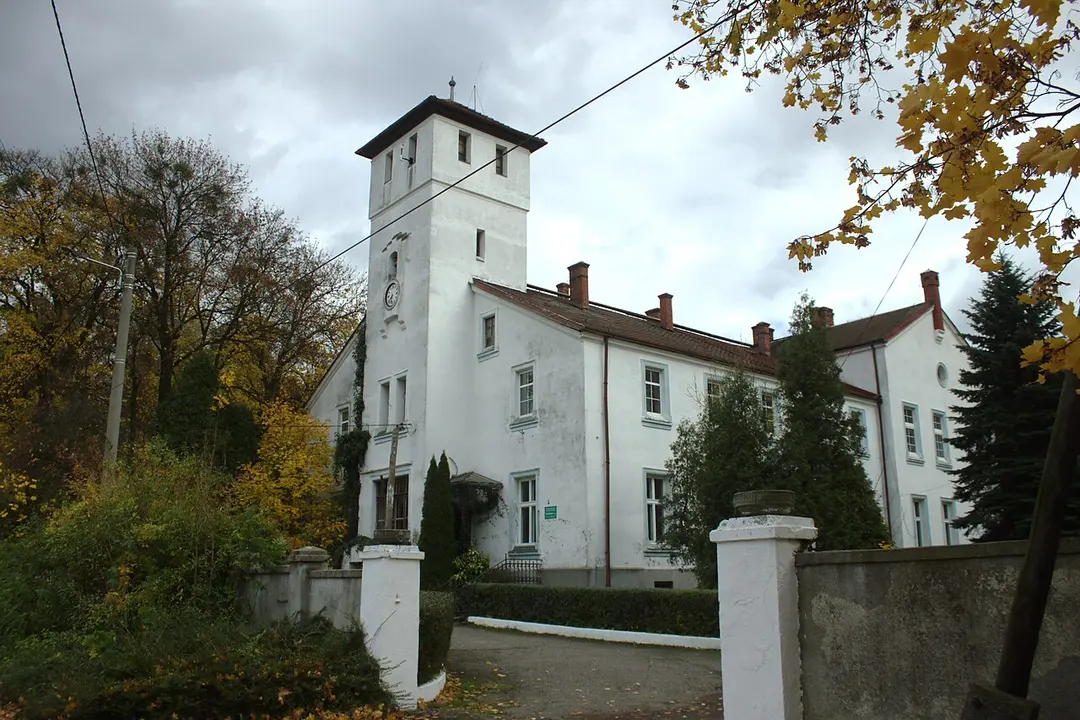 Pałac w Steblowie