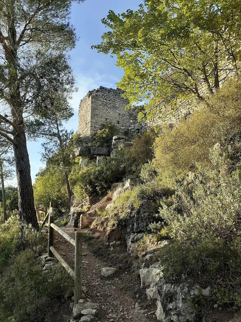 Castell de l'Albiol