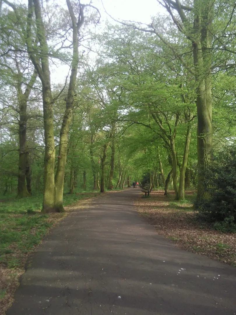 Forster Memorial Park
