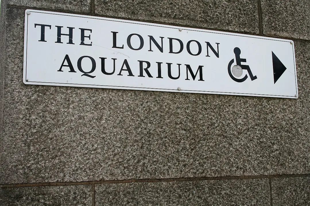 London Aquarium