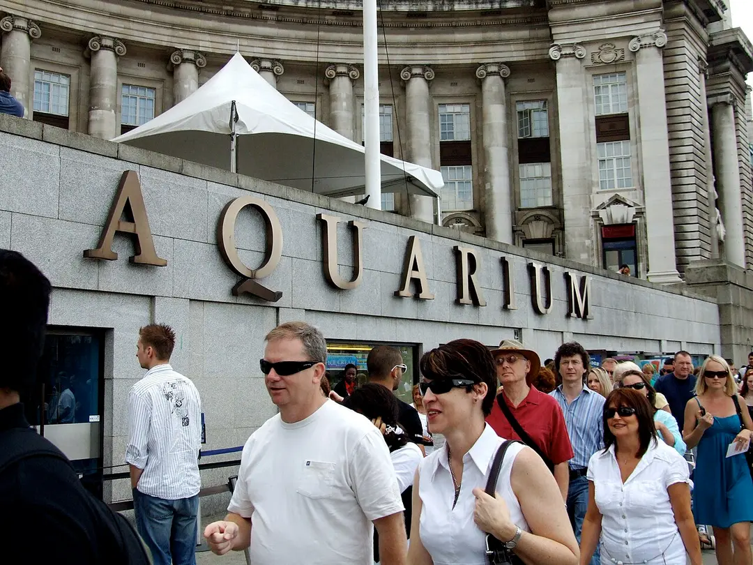 London Aquarium