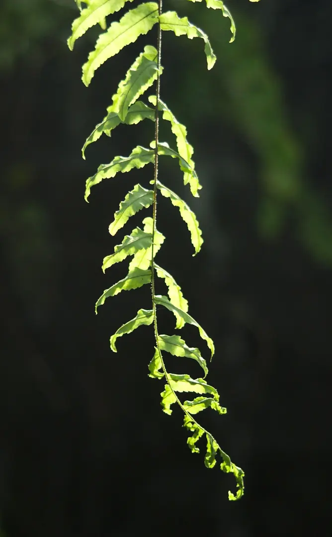 Botanischer Garten Oldenburg