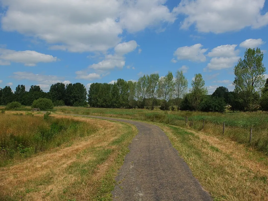 Vierde Bergboezem