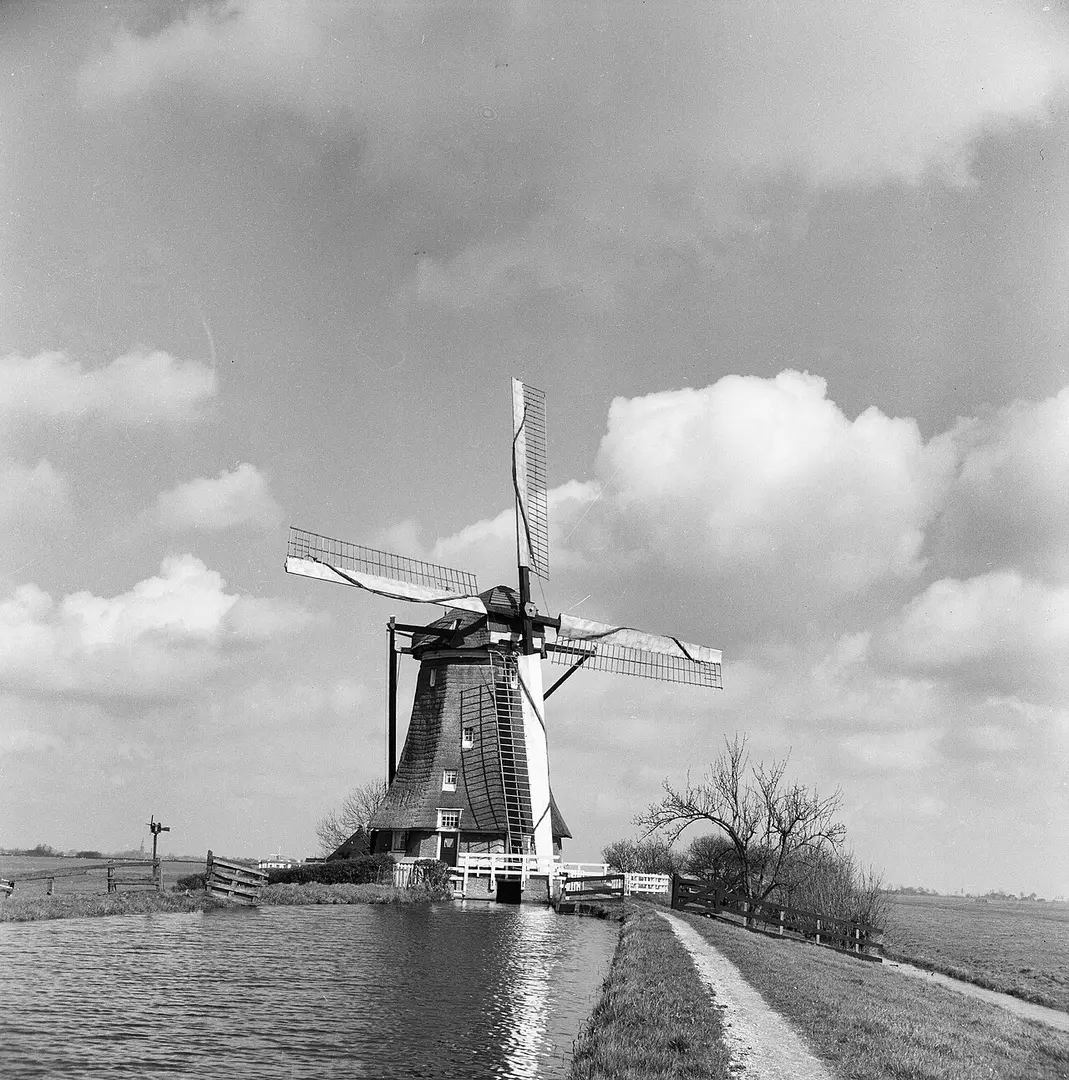 Molen No.3