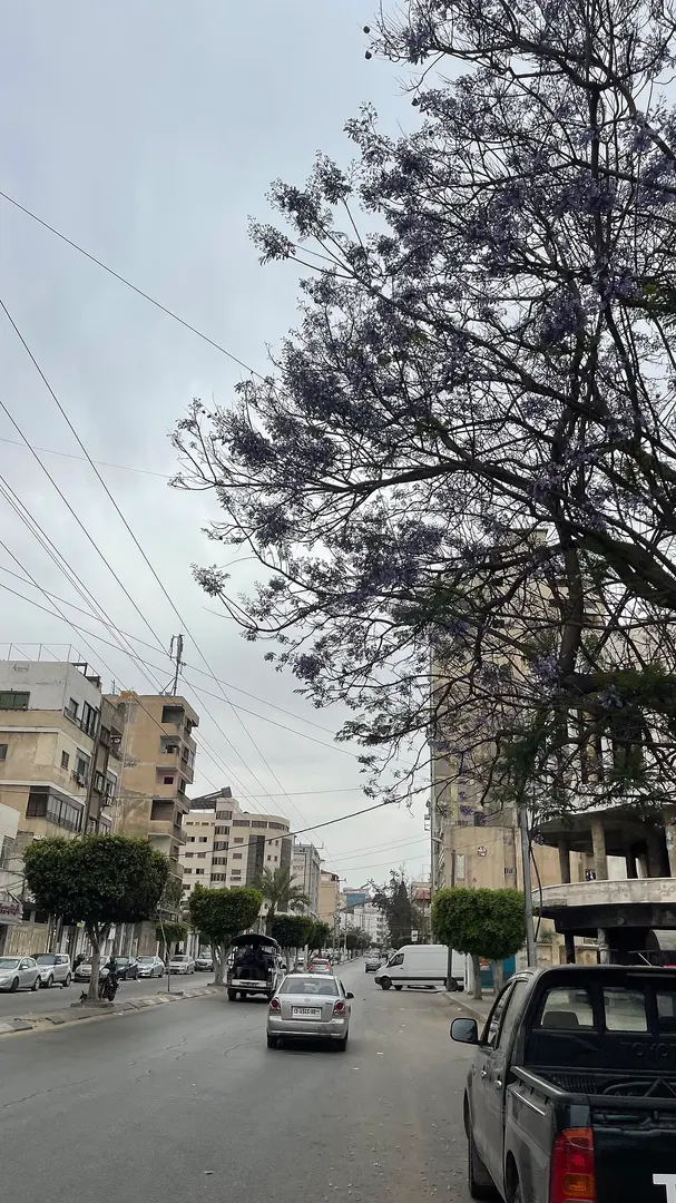 Omar Mukhtar Street