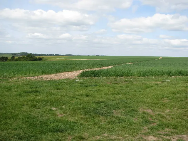 Combe Hill