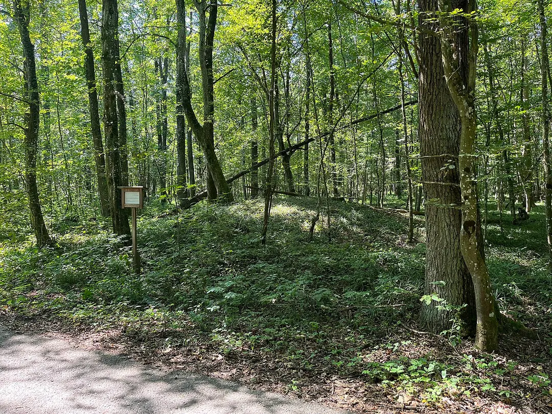 Hügelgräberfeld Winkling