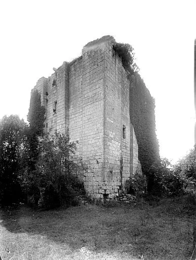 Tour de l'Isleau