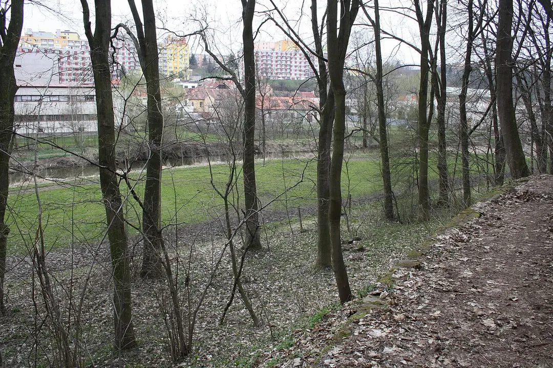 Radostínské sady (Lísčí)