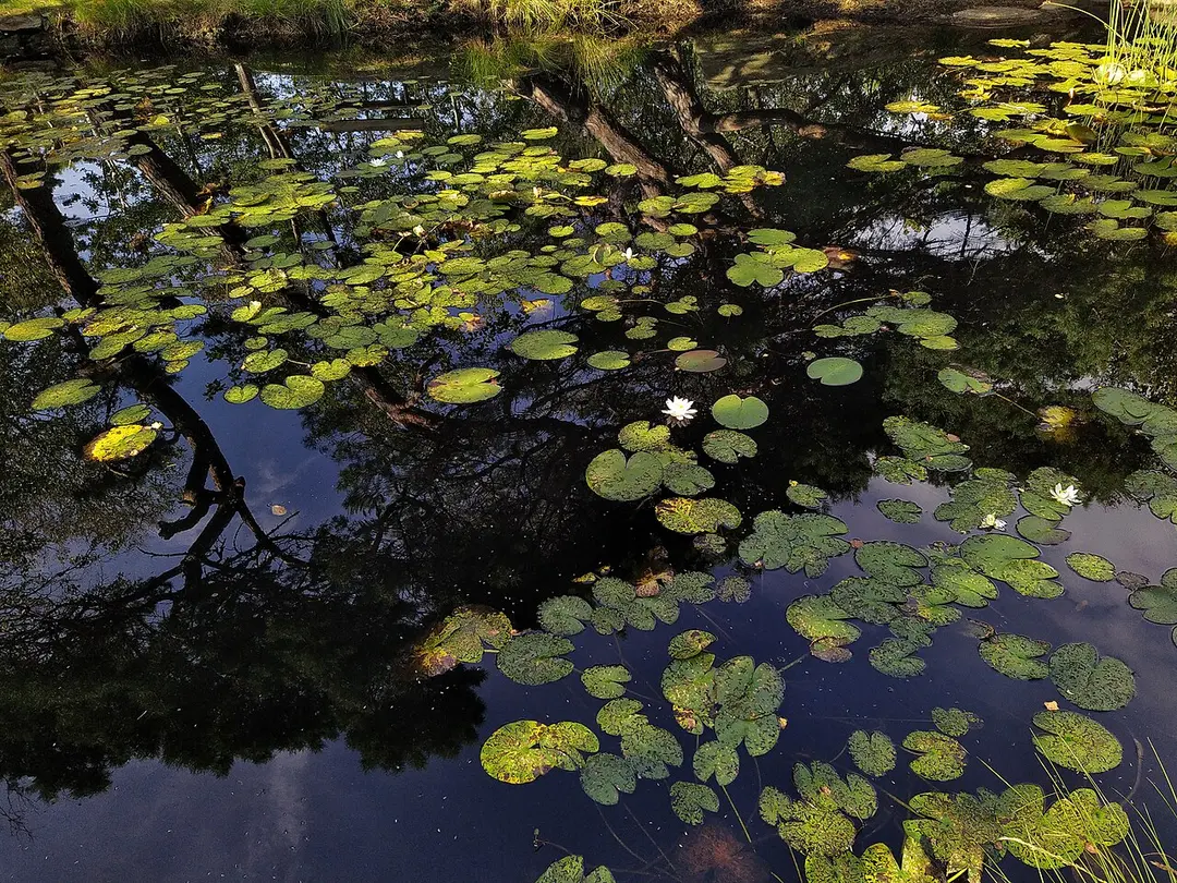 Marstrands naturreservat