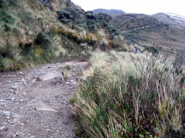 Azufral