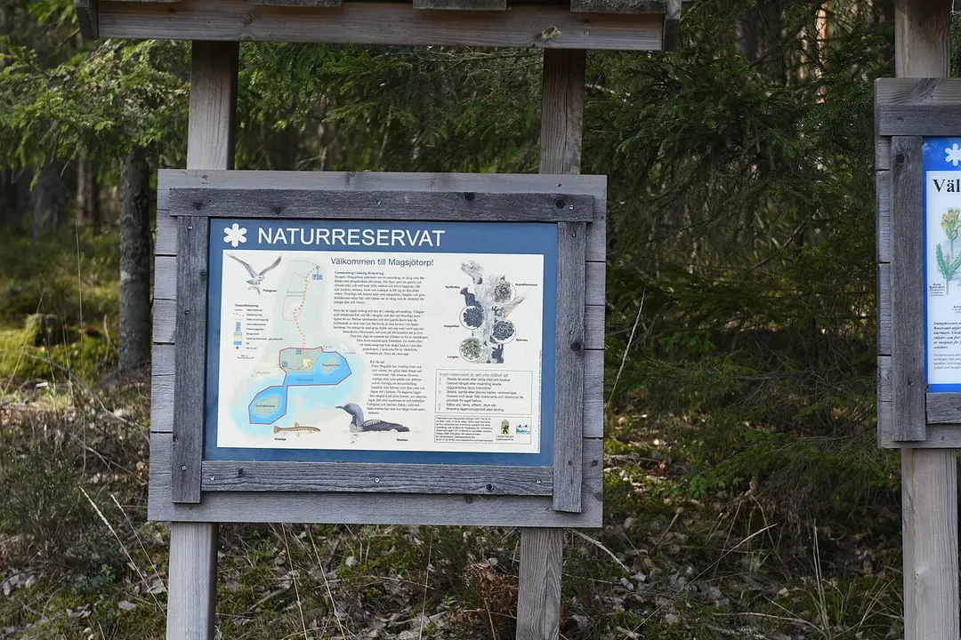 Magsjötorps naturreservat